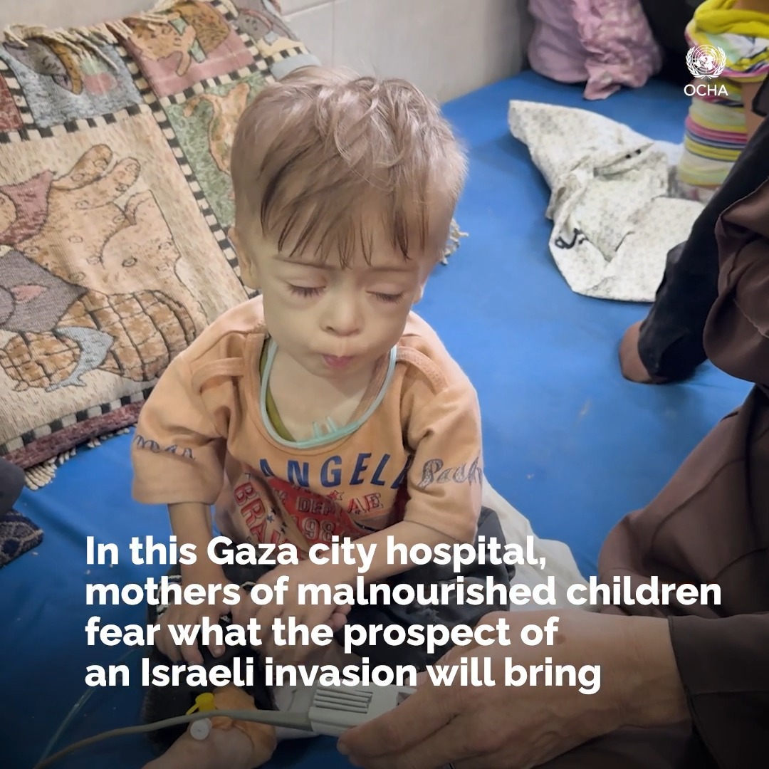 These children are at high risk, and Israel is expected to bomb this area