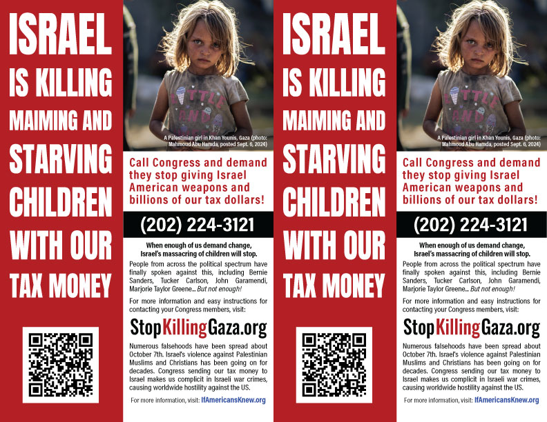 Gaza Action Flyer Preview